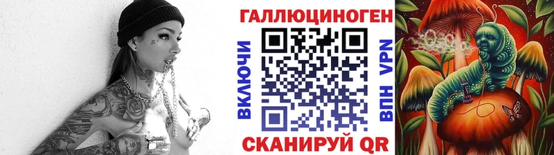 Галлюциногенные грибы Psilocybe  дарнет шоп  Чаплыгин 